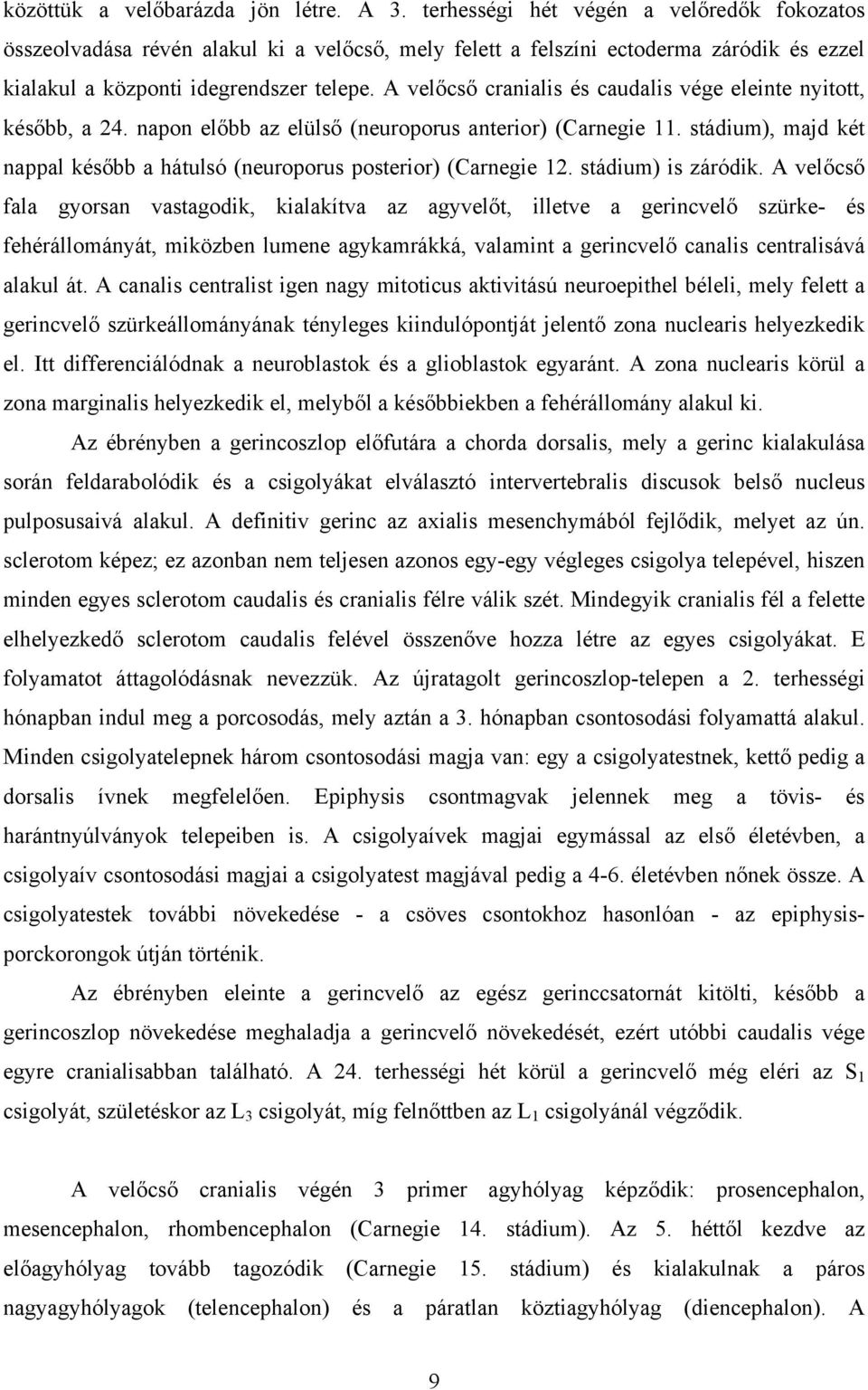 A velőcső cranialis és caudalis vége eleinte nyitott, később, a 24. napon előbb az elülső (neuroporus anterior) (Carnegie 11.