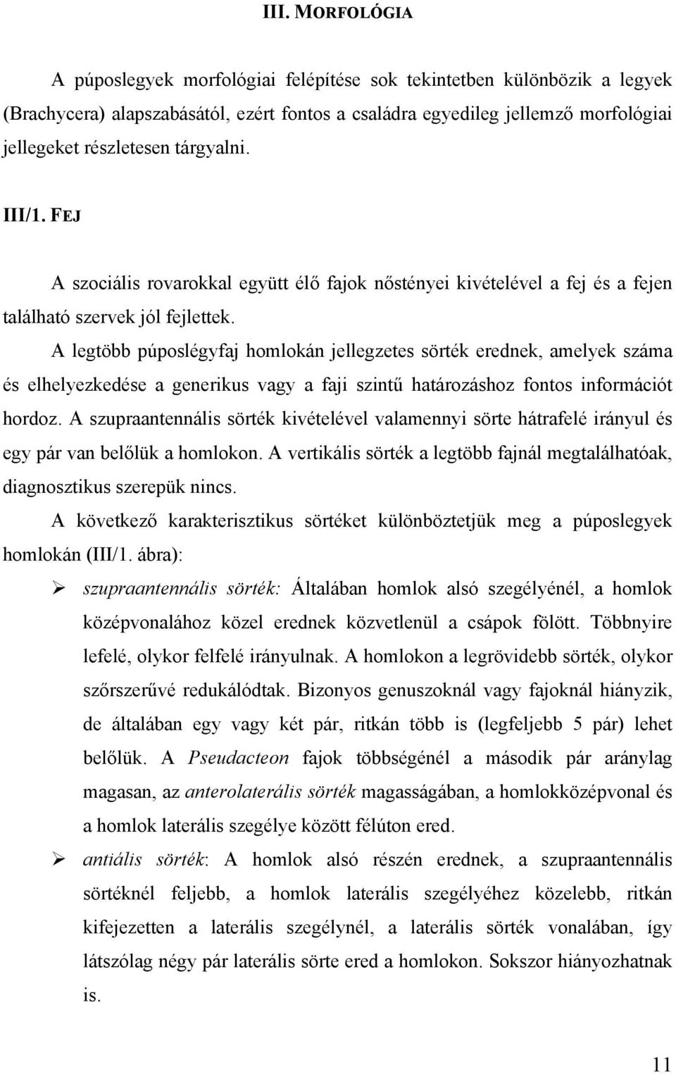 A legtöbb púposlégyfaj homlokán jellegzetes sörték erednek, amelyek száma és elhelyezkedése a generikus vagy a faji szintű határozáshoz fontos információt hordoz.