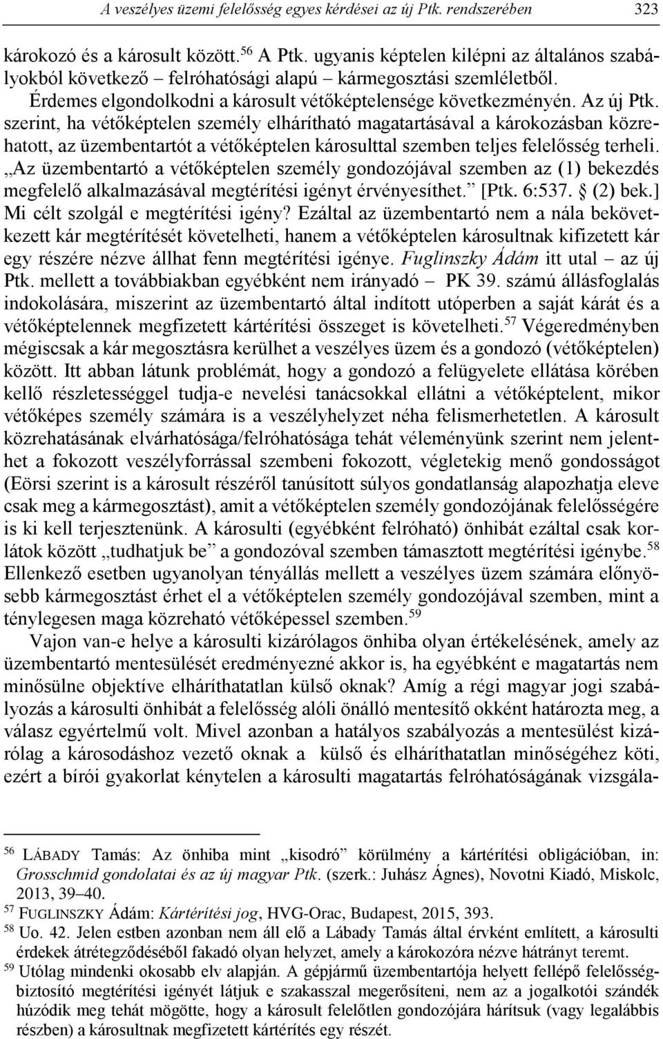 szerint, ha vétőképtelen személy elhárítható magatartásával a károkozásban közrehatott, az üzembentartót a vétőképtelen károsulttal szemben teljes felelősség terheli.