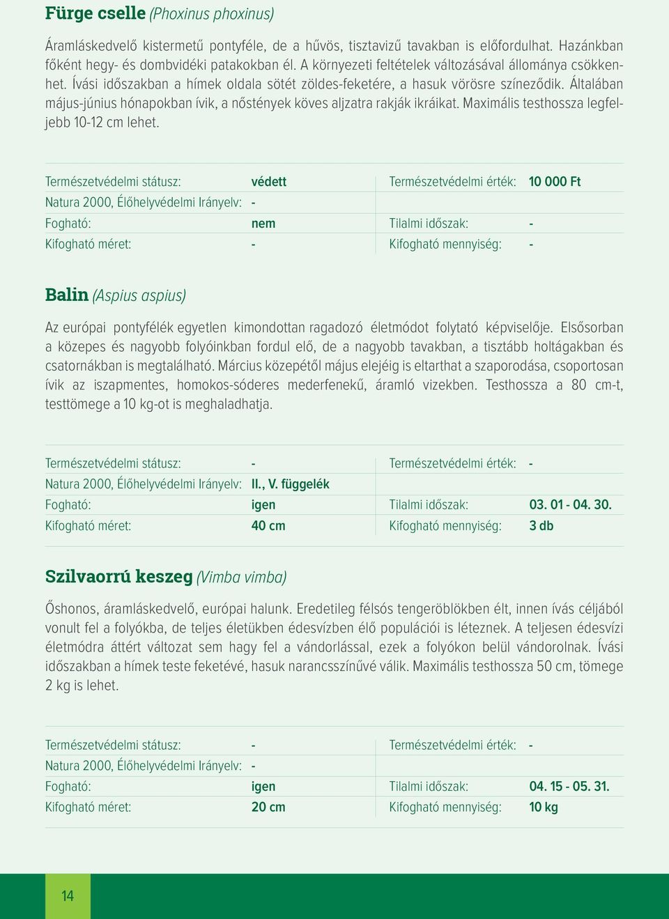 Általában május-június hónapokban ívik, a nőstények köves aljzatra rakják ikráikat. Maximális testhossza legfeljebb 10-12 cm lehet.