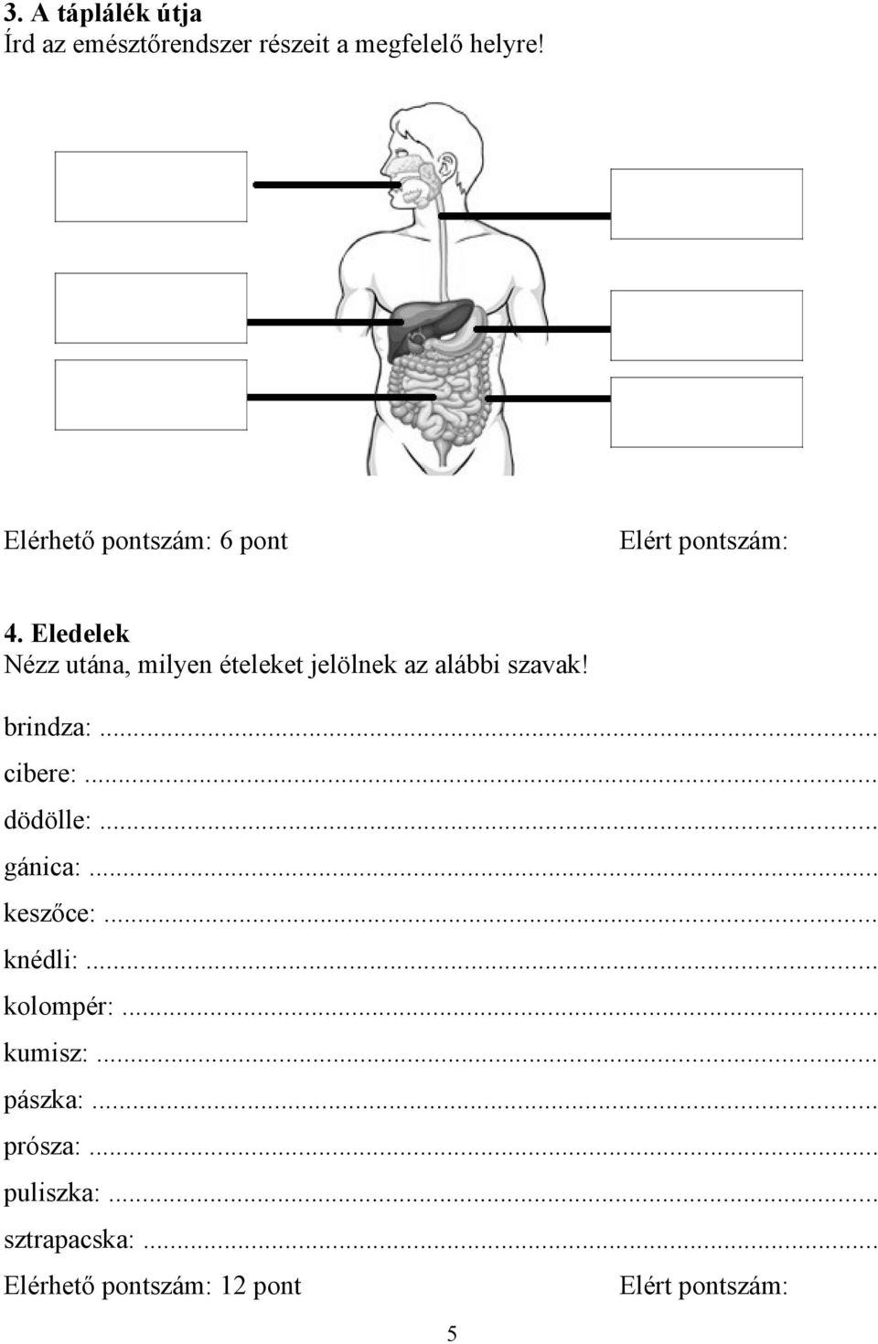 Eledelek Nézz utána, milyen ételeket jelölnek az alábbi szavak! brindza:... cibere:.