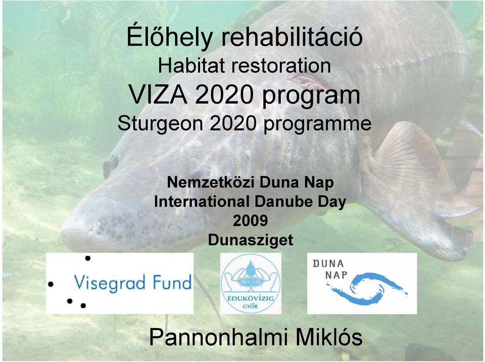 2020 programme Nemzetközi Duna Nap