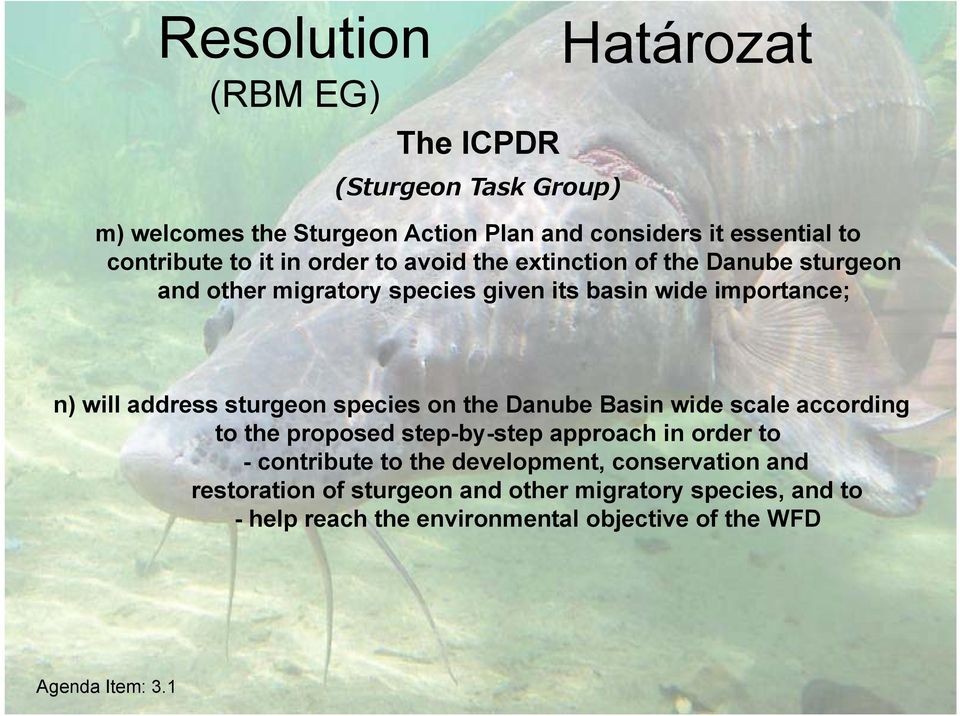 sturgeon species on the Danube Basin wide scale according to the proposed step-by-step approach in order to - contribute to the development,