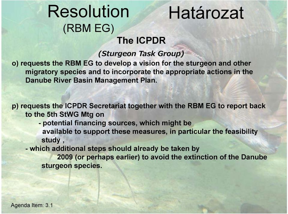 p) requests the ICPDR Secretariat together with the RBM EG to report back to the 5th StWG Mtg on - potential financing sources, which might be