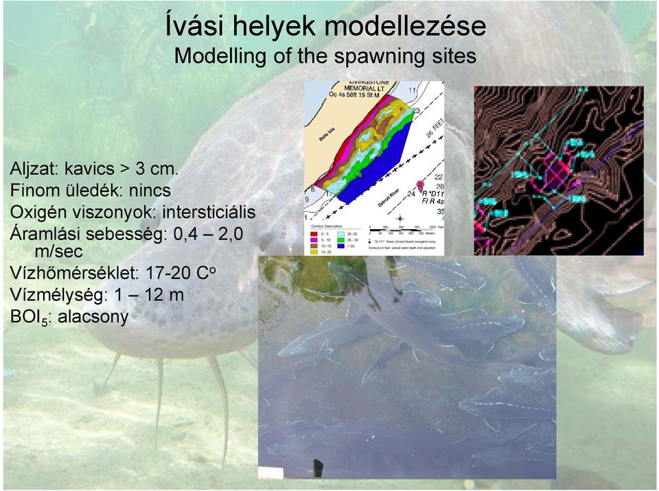 Áramlási sebesség: 0,4 2,0 m/sec Vízhőmérséklet: 17-20 C