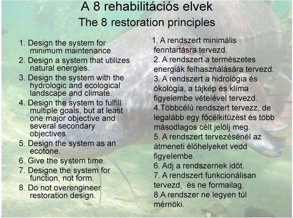 Design the system as an ecotone. 6. Give the system time. 7. Designe the system for function, not form. 8. Do not overengineer restoration design. 1. A rendszert minimális fenntartásra tervezd. 2.