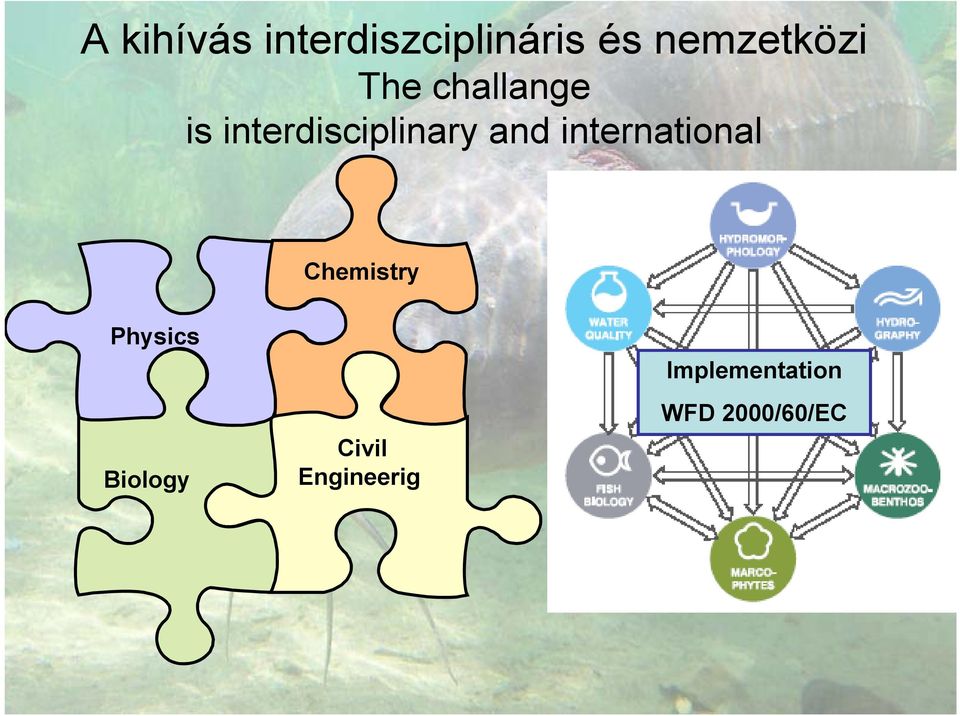 interdisciplinary and international