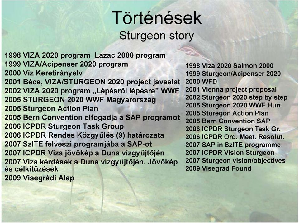 határozata 2007 SzITE felveszi programjába a SAP-ot 2007 ICPDR Viza jövőkép a Duna vízgyűjtőjén 2007 Viza kérdések a Duna vízgyűjtőjén.