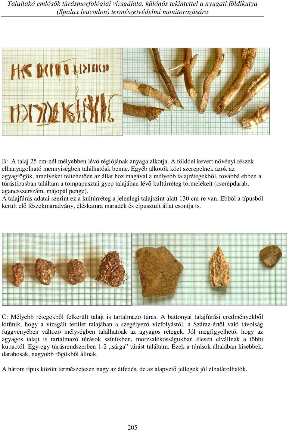 Egyéb alkotók közt szerepelnek azok az agyagrögök, amelyeket feltehetően az állat hoz magával a mélyebb talajrétegekből, továbbá ebben a túrástípusban találtam a tompapusztai gyep talajában lévő