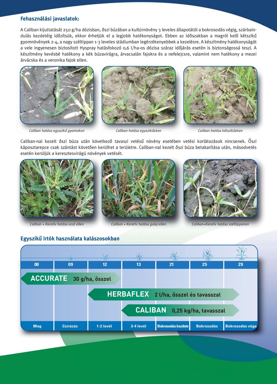 A készítmény hatékonyságát a vele ingyenesen biztosított Hyspray hatásfokozó 0,6 l/ha-os dózisa száraz idôjárás esetén is biztonságossá teszi.