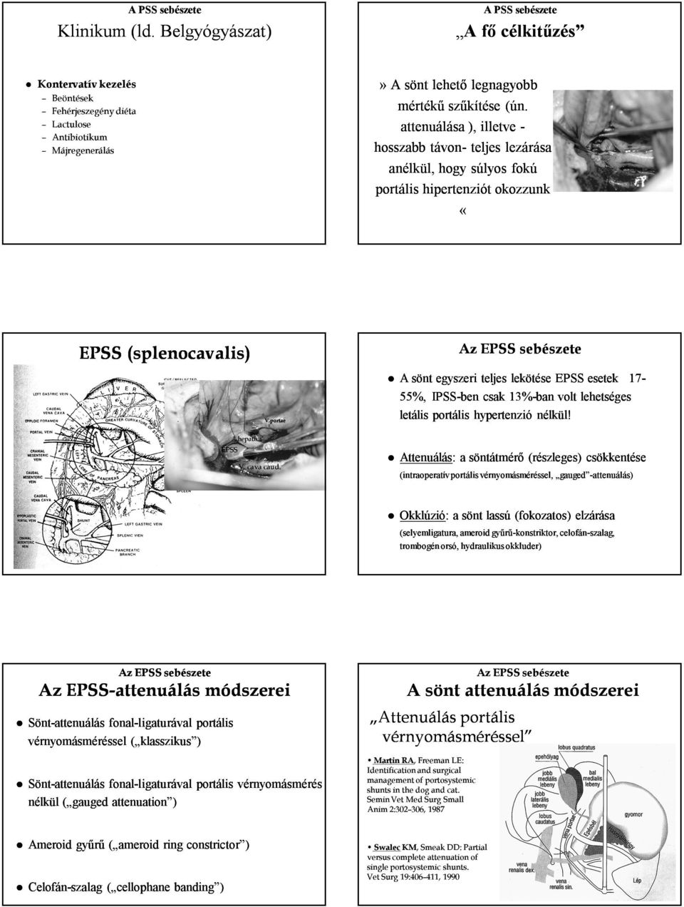 attenuálása ), illetve - hosszabb távon- teljes lezárása anélkül, hogy súlyos fokú portális hipertenziót okozzunk «EPSS (splenocavalis) V.