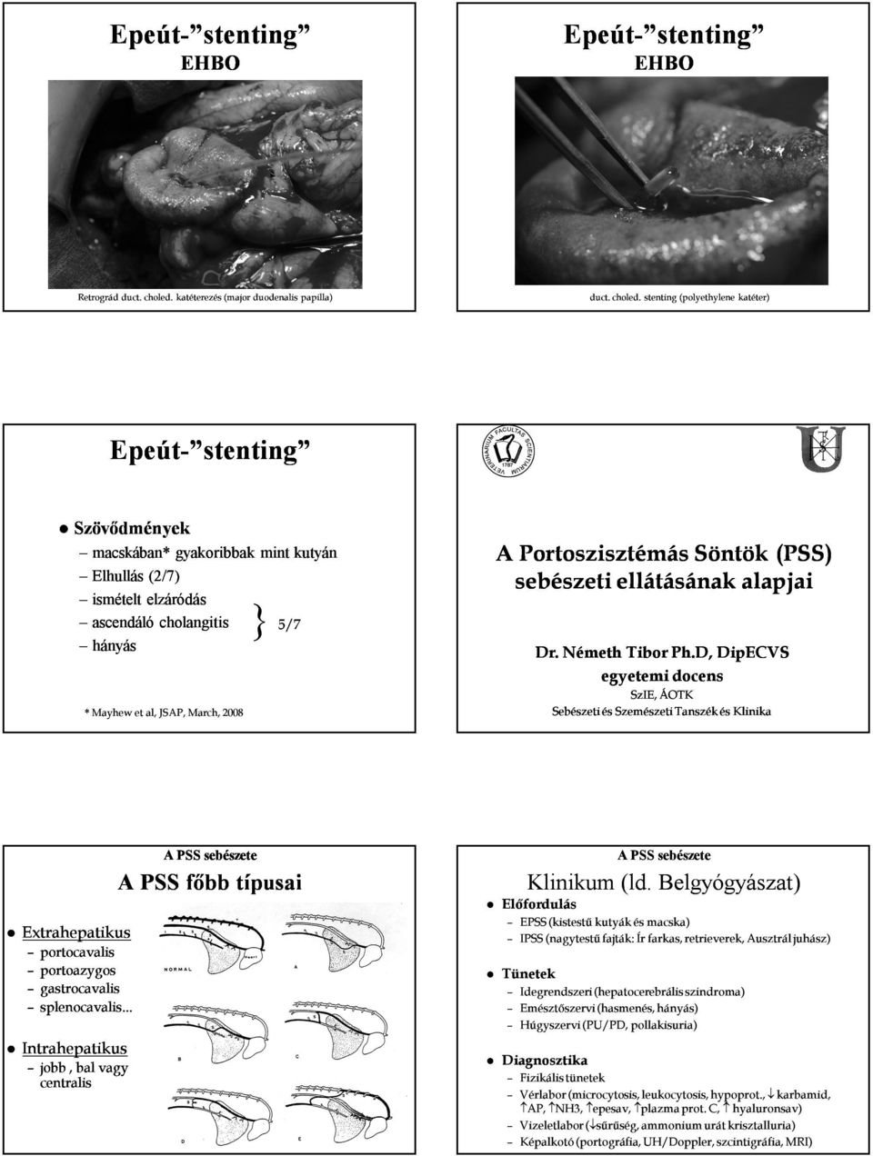 stenting (polyethylene katéter) Epeút- stenting Szövődmények macskában* gyakoribbak mint kutyán Elhullás (2/7) ismételt elzáródás ascendáló cholangitis hányás * Mayhew et al, JSAP, March, 2008 5/7 A