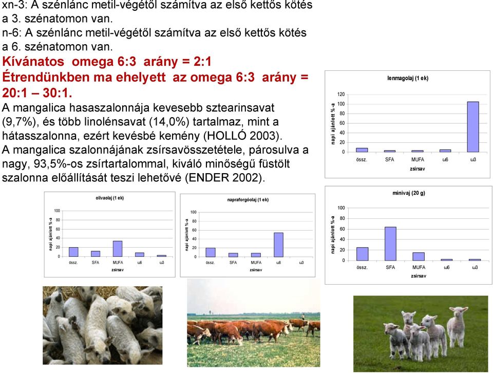 A mangalica szalonnájának zsírsavösszetétele, párosulva a nagy, 93,5%-os zsírtartalommal, kiváló minőségű füstölt szalonna előállítását teszi lehetővé (ENDER 2002).