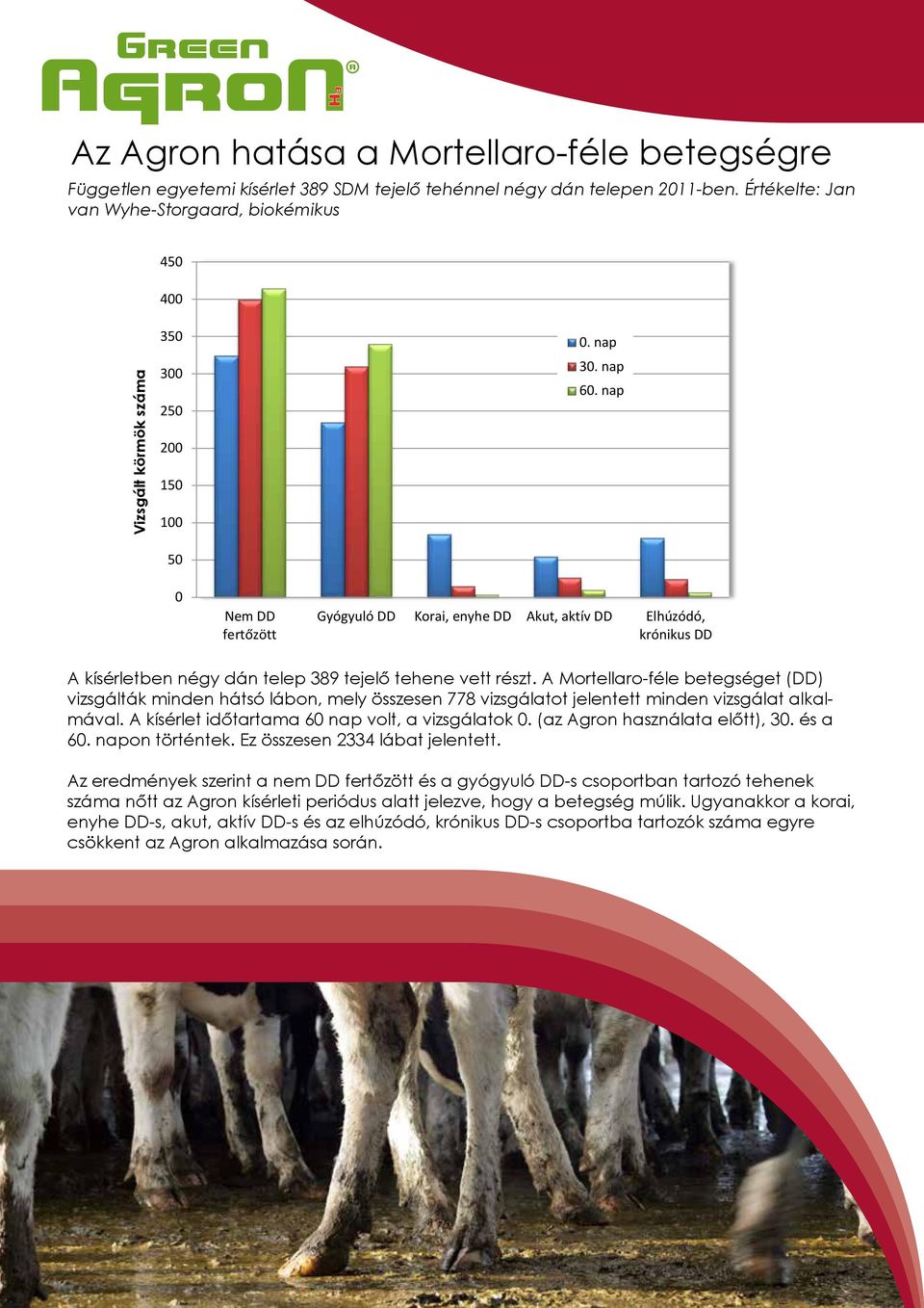 egyetemi kísérlet 389 SDM tejelő tehénnel négy dán telepen 2011-ben. Értékelte: Jan van Wyhe-Storgaard, biokémikus 450 400 Vizsgált körmök száma 350 300 250 200 150 100 50 0. nap 30. nap 60.