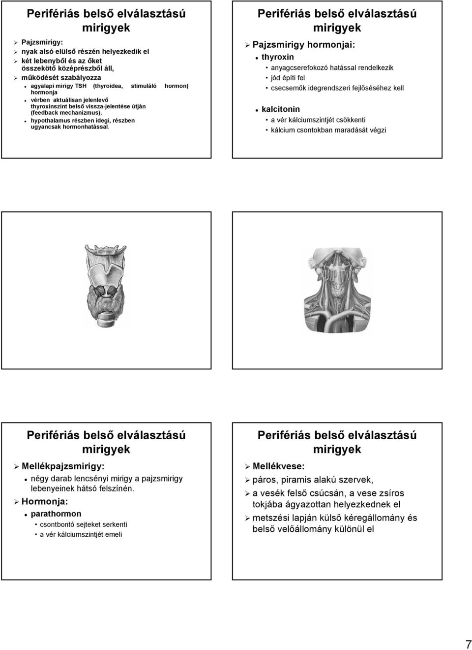 Pajzsmirigy hormonjai: thyroxin anyagcserefokozó hatással rendelkezik jód építi fel csecsemők k idegrendszeri fejlőséhez kell kalcitonin a vér kálciumszintjét csökkenti kálcium csontokban maradását t