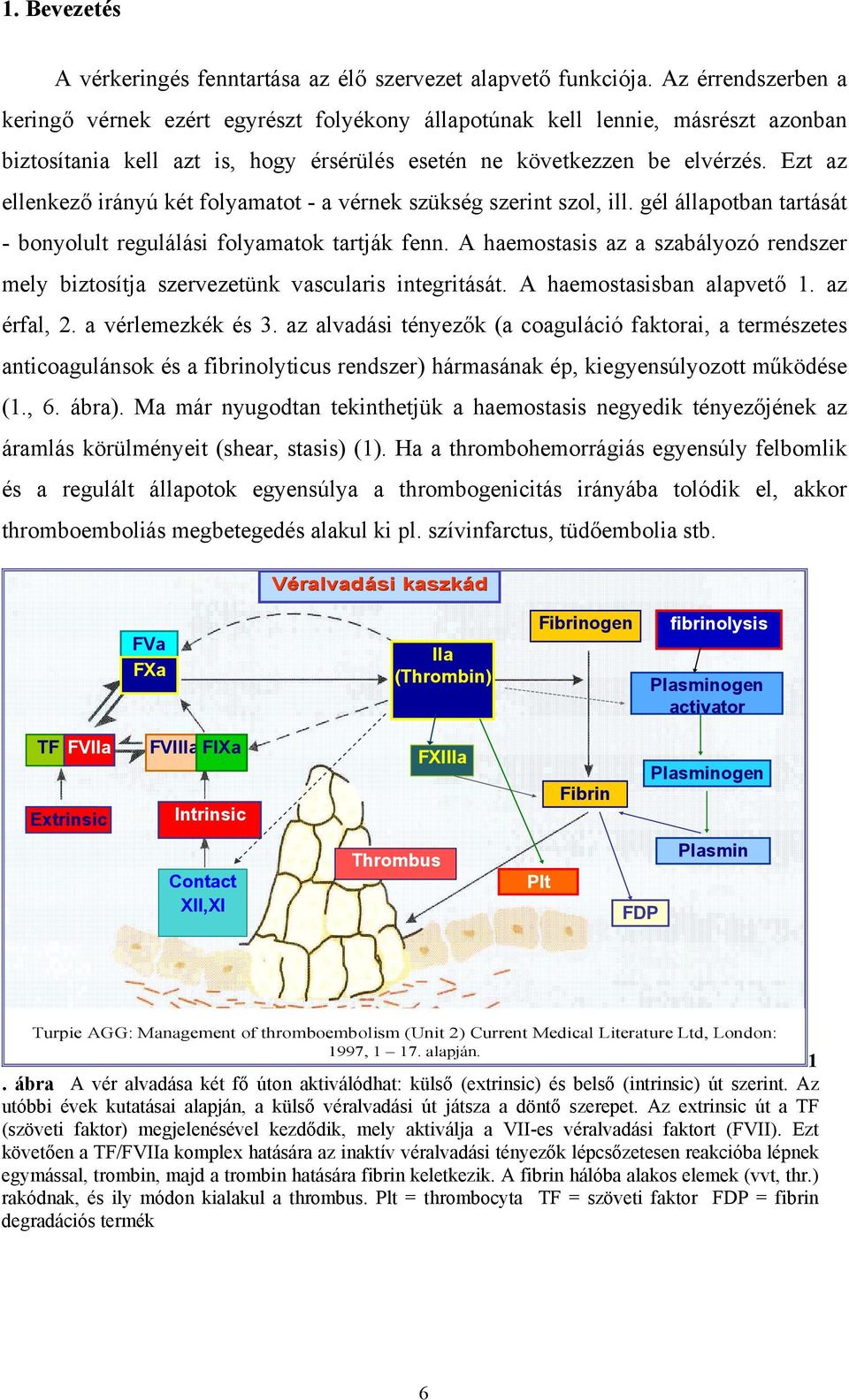 Ezt az ellenkező irányú két folyamatot - a vérnek szükség szerint szol, ill. gél állapotban tartását - bonyolult regulálási folyamatok tartják fenn.