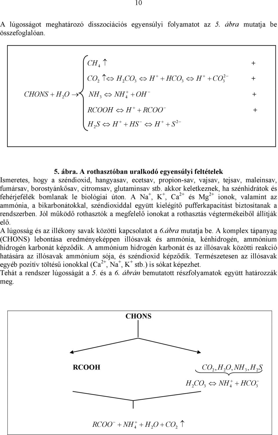 A rothasztóban uralkodó egyensúlyi feltételek Ismeretes, hogy a széndioxid, hangyasav, ecetsav, propion-sav, vajsav, tejsav, maleinsav, fumársav, borostyánkősav, citromsav, glutaminsav stb.