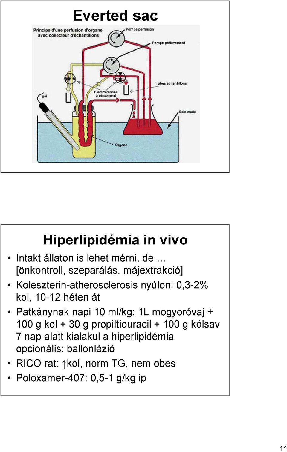 ml/kg: 1L mogyoróvaj + 100 g kol + 30 g propiltiouracil + 100 g kólsav 7 nap alatt kialakul a