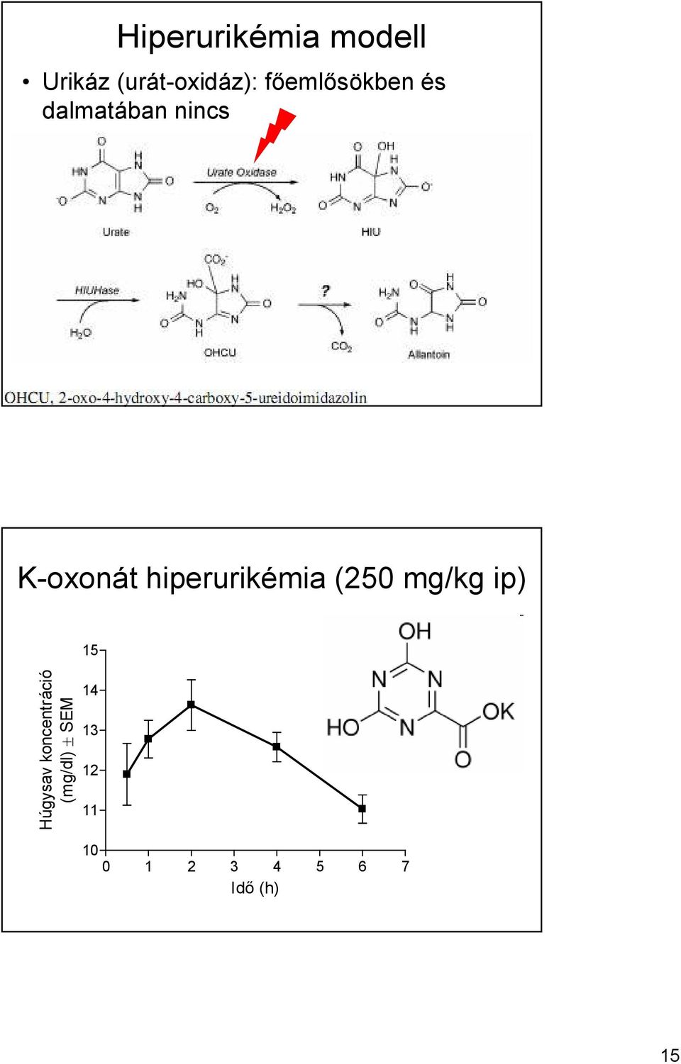 hiperurikémia (250 mg/kg ip) 15 Húgysav