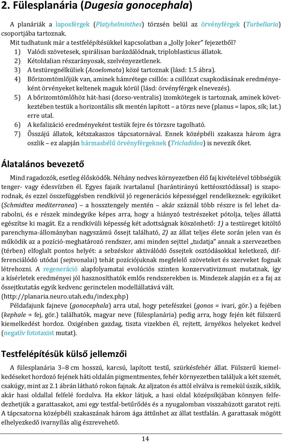 3) A testüregnélküliek (Acoelomata) közé tartoznak (lásd: 1.5 ábra).