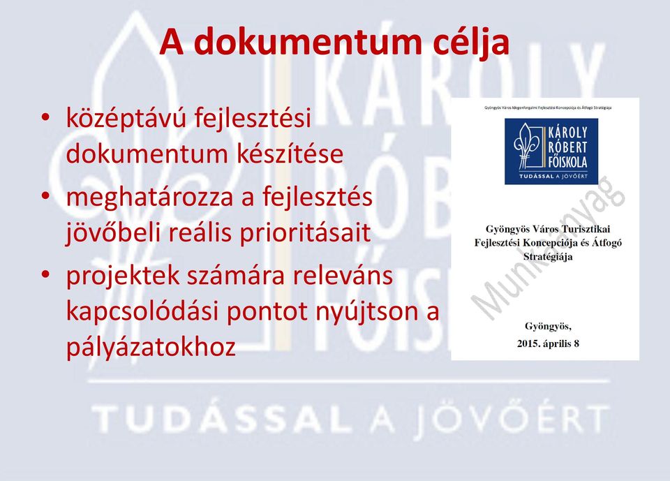 jövőbeli reális prioritásait projektek számára
