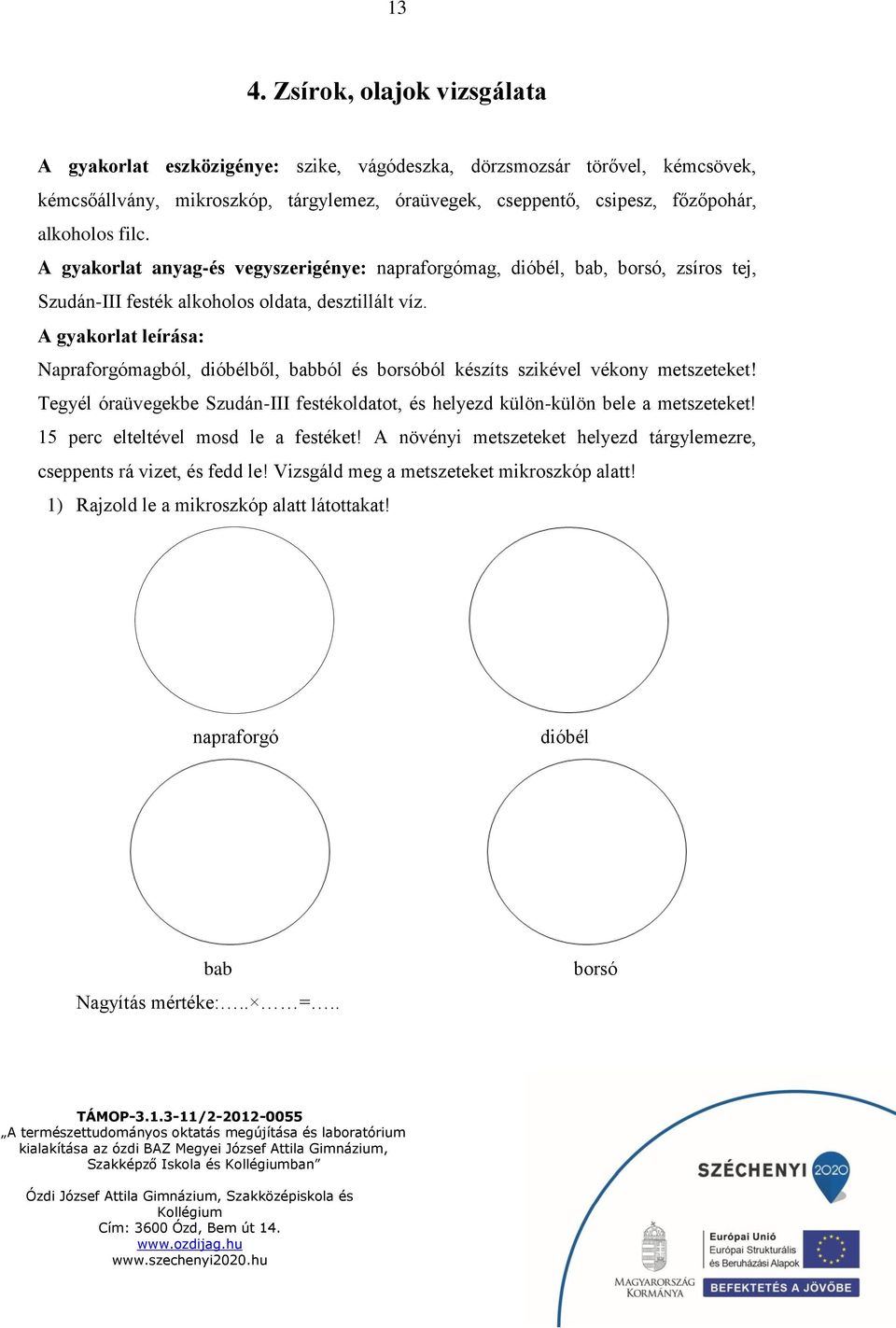 A gyakorlat leírása: Napraforgómagból, dióbélből, babból és borsóból készíts szikével vékony metszeteket! Tegyél óraüvegekbe Szudán-III festékoldatot, és helyezd külön-külön bele a metszeteket!