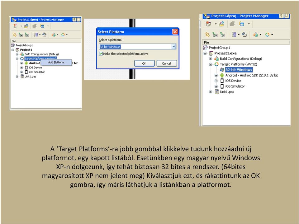 Esetünkben egy magyar nyelvű Windows XP-n dolgozunk, így tehát biztosan 32 bites