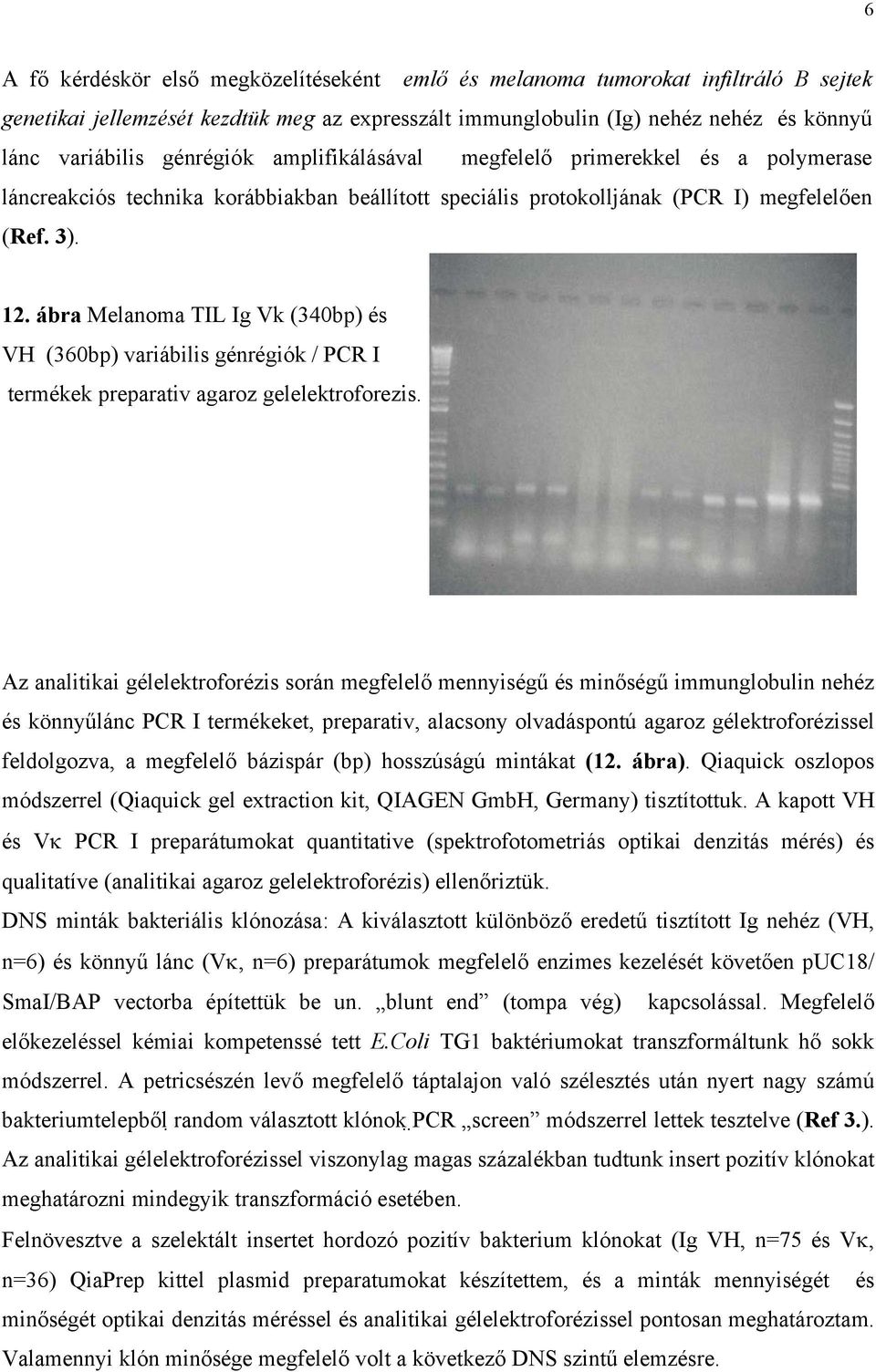 ábra Melanoma TIL Ig Vk (340bp) és VH (360bp) variábilis génrégiók / PCR I termékek preparativ agaroz gelelektroforezis.