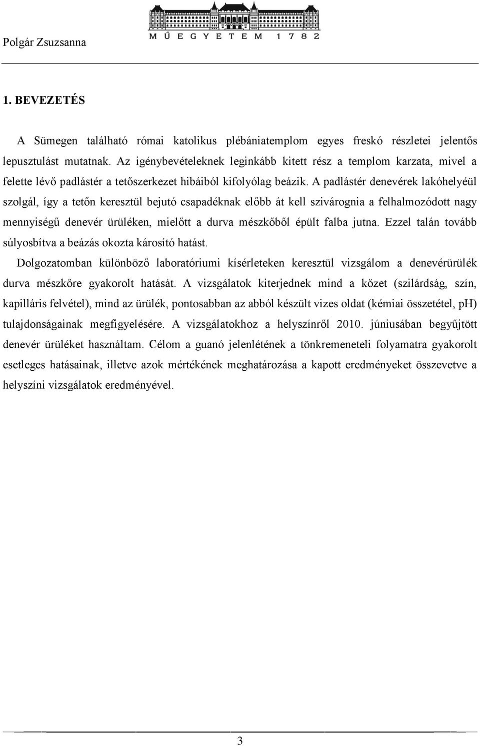 A padlástér denevérek lakóhelyéül szolgál, így a tetőn keresztül bejutó csapadéknak előbb át kell szivárognia a felhalmozódott nagy mennyiségű denevér ürüléken, mielőtt a durva mészkőből épült falba