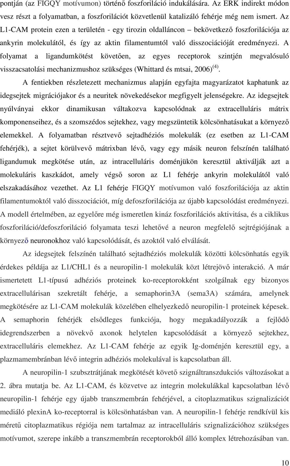 A folyamat a ligandumkötést követően, az egyes receptorok szintjén megvalósuló visszacsatolási mechanizmushoz szükséges (Whittard és mtsai, 2006) (4).