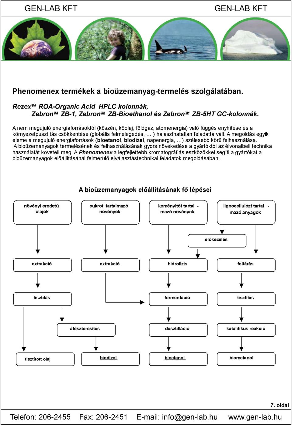 A megoldás egyik eleme a megújuló energiaforrások (bioetanol, biodízel, napenergia, ) szélesebb körű felhasználása.