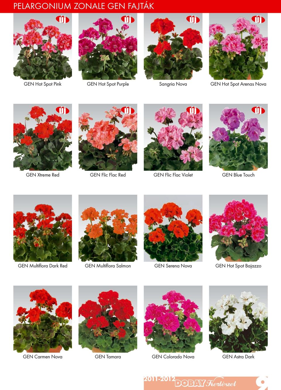 Violet GEN Blue Touch GEN Multiflora Dark Red GEN Multiflora Salmon GEN Serena