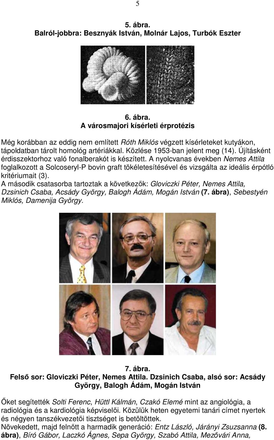 A nyolcvanas években Nemes Attila foglalkozott a Solcoseryl-P bovin graft tökéletesítésével és vizsgálta az ideális érpótló kritériumait (3).