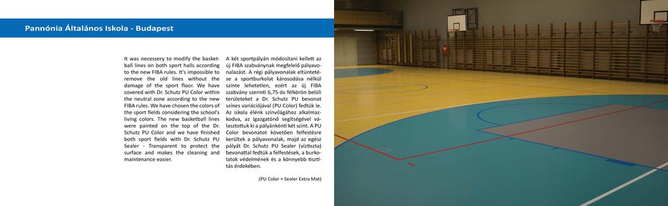 We have chosen the colors of the sport fields considering the school's living colors. The new basketball lines were painted on the top of the Dr.