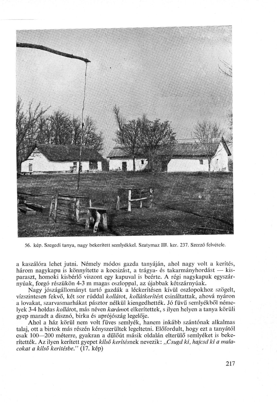 A régi nagykapuk egyszárnyúak, forgó részükön 4-3 m magas oszloppal, az újabbak kétszárnyúak.