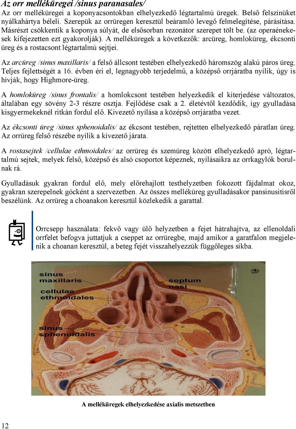 (az operaénekesek kifejezetten ezt gyakorolják). A melléküregek a következők: arcüreg, homloküreg, ékcsonti üreg és a rostacsont légtartalmú sejtjei.