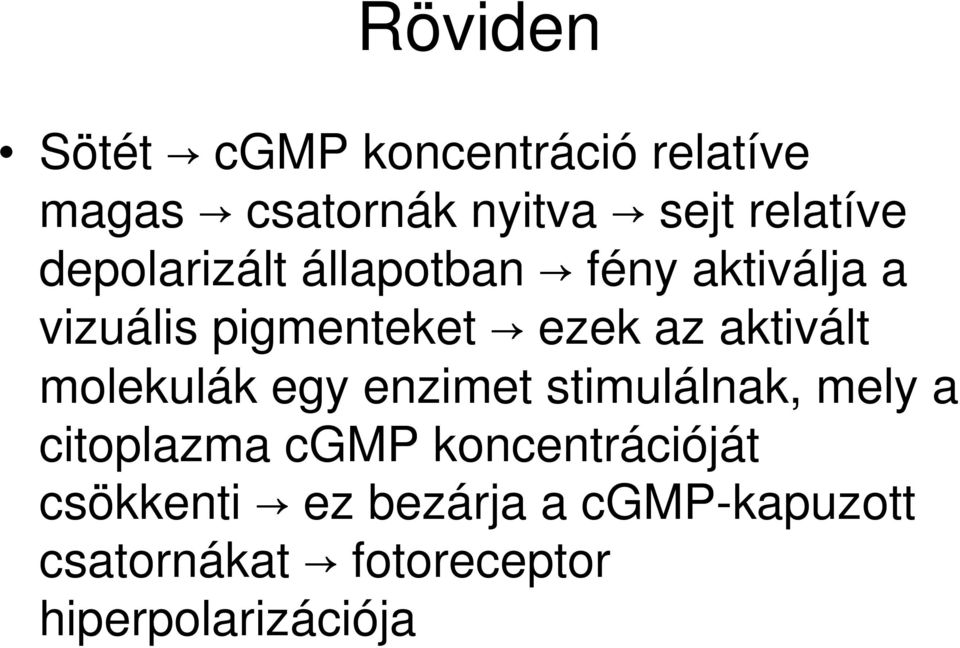 aktivált molekulák egy enzimet stimulálnak, mely a citoplazma cgmp