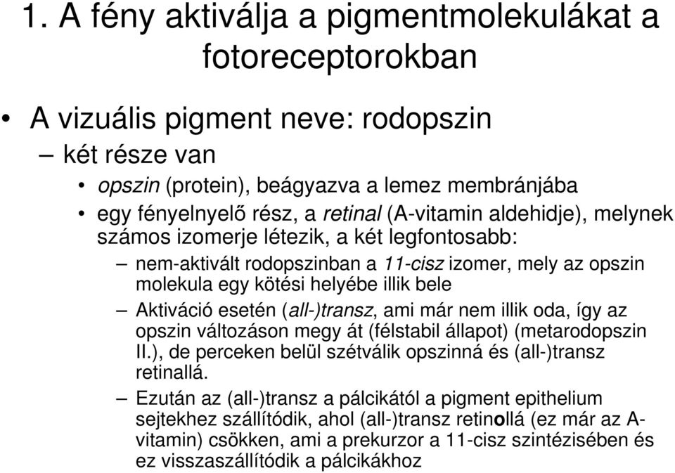 (all-)transz, ami már nem illik oda, így az opszin változáson megy át (félstabil állapot) (metarodopszin II.), de perceken belül szétválik opszinná és (all-)transz retinallá.