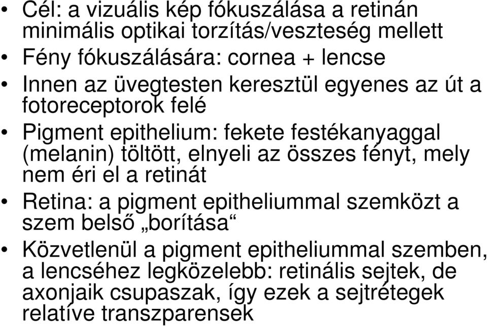 az összes fényt, mely nem éri el a retinát Retina: a pigment epitheliummal szemközt a szem belső borítása Közvetlenül a pigment