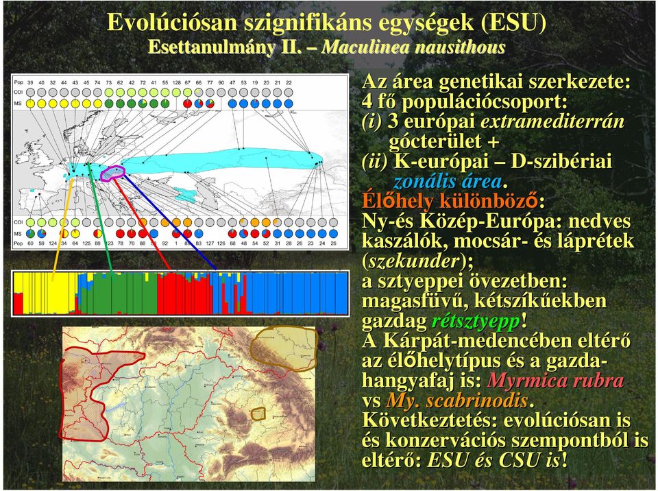 D-szibériai zonális área.