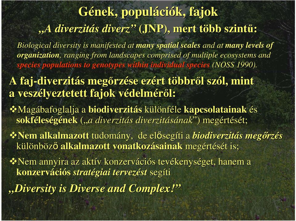 A faj-diverzit diverzitás s megőrz rzése ezért többrt bbről l szól, mint a veszélyeztetett fajok védelmv delméről: l: Magábafoglalja a biodiverzitás különféle kapcsolatainak és sokféles leségének ( a