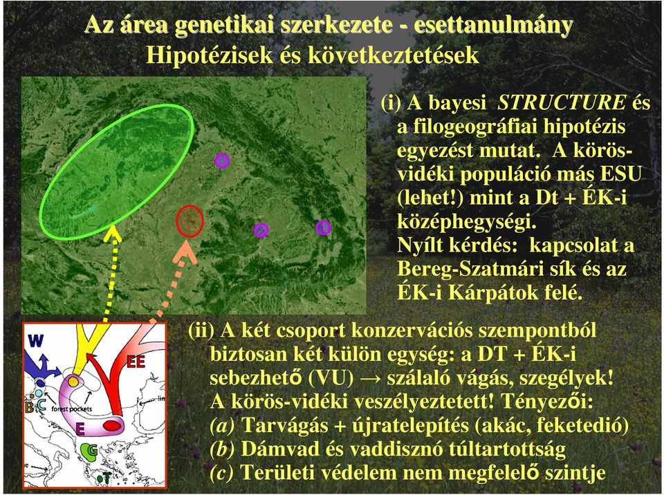 (ii) A két csoport konzervációs szempontból biztosan két külön egység: a DT + ÉK-i sebezhető (VU) szálaló vágás, szegélyek!