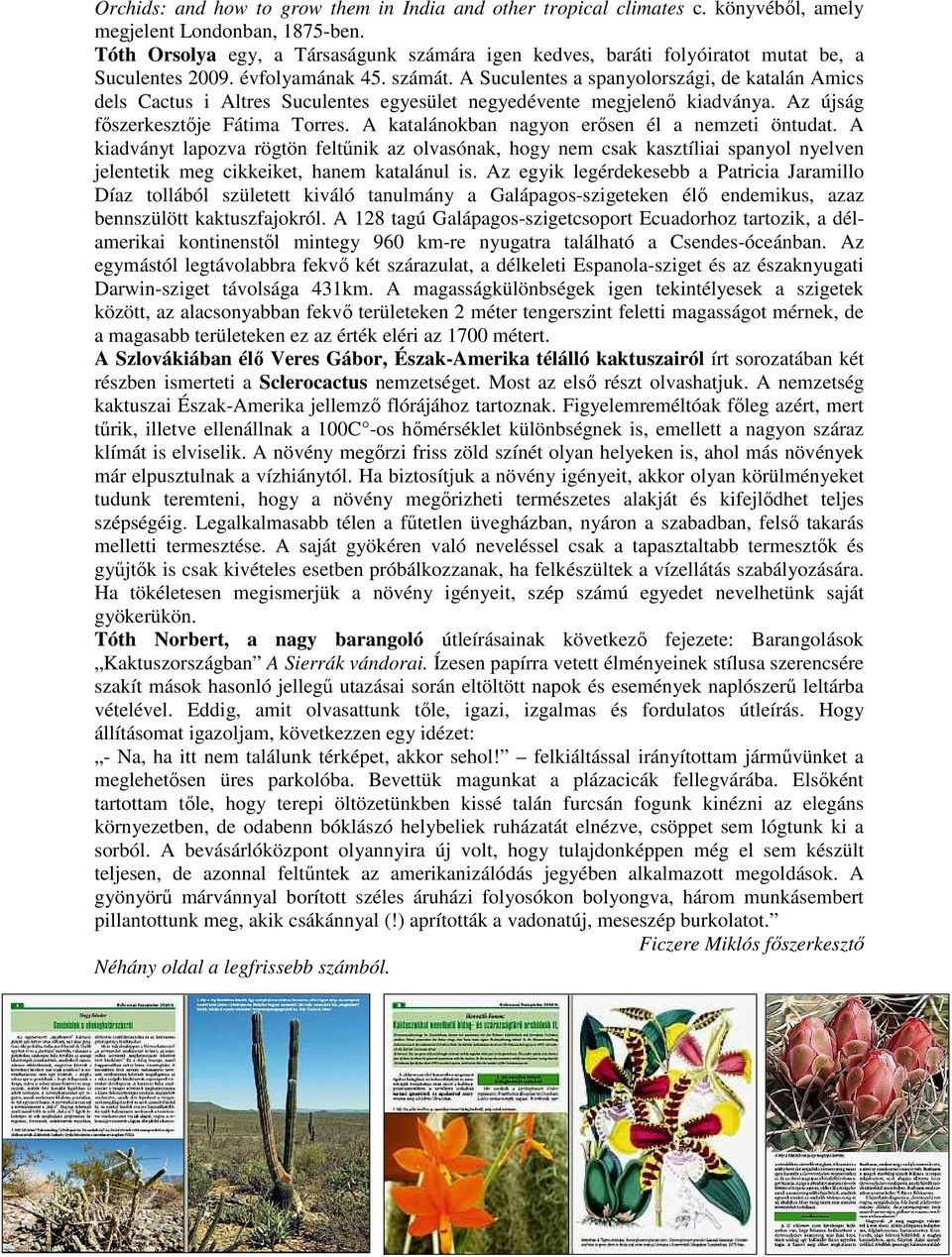 A Suculentes a spanyolországi, de katalán Amics dels Cactus i Altres Suculentes egyesület negyedévente megjelenı kiadványa. Az újság fıszerkesztıje Fátima Torres.