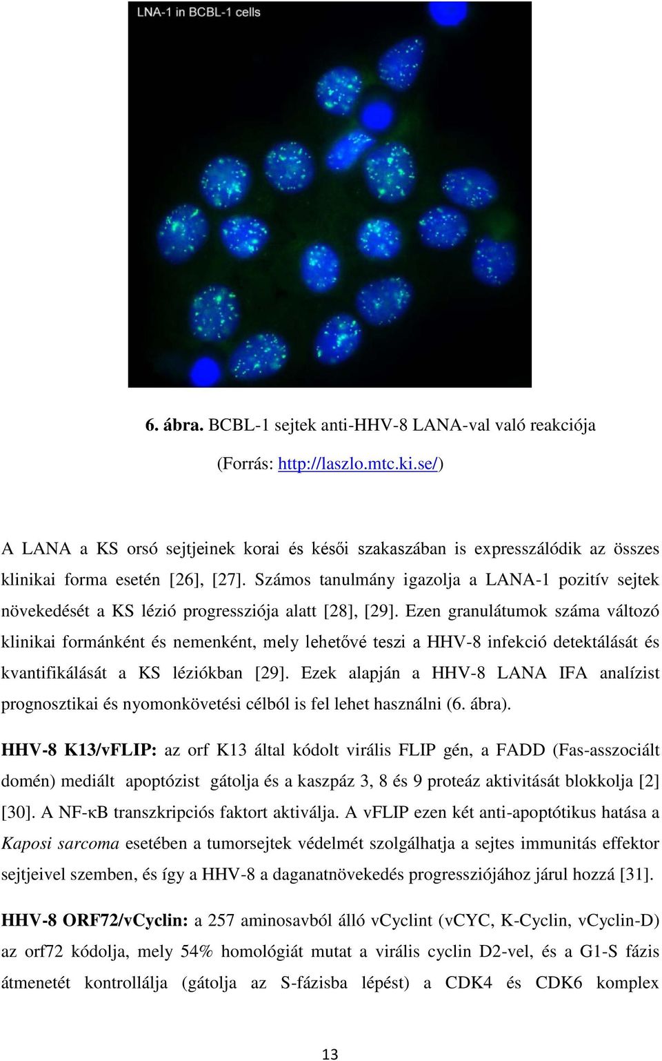 Számos tanulmány igazolja a LANA-1 pozitív sejtek növekedését a KS lézió progressziója alatt [28], [29].