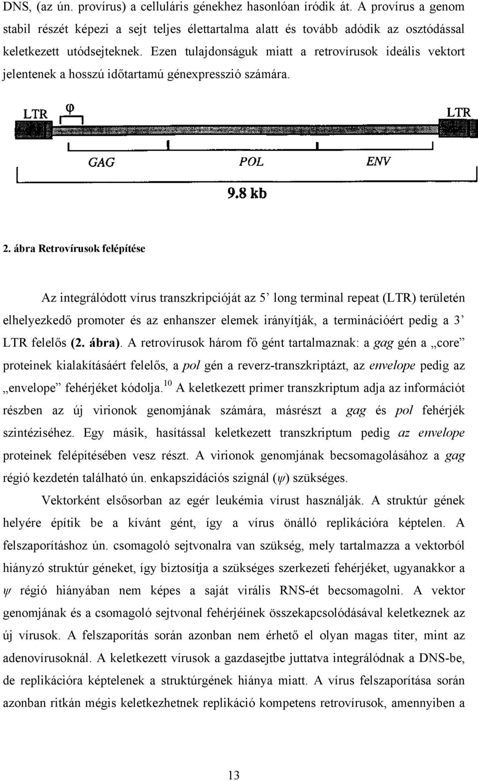 ábra Retrovírusok felépítése Az integrálódott vírus transzkripcióját az 5 long terminal repeat (LTR) területén elhelyezkedő promoter és az enhanszer elemek irányítják, a terminációért pedig a 3 LTR