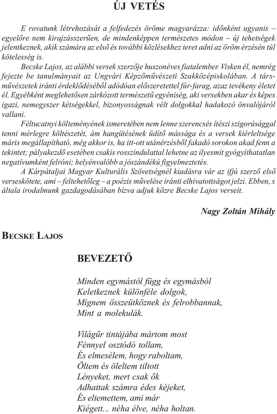 Visken él, nemrég fejezte be tanulmányait az Ungvári Képzőművészeti Szakközépiskolában. A társművészetek iránti érdeklődéséből adódóan előszeretettel fúr-farag, azaz tevékeny életet él.