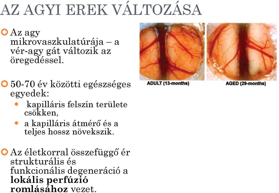 50-70 év közötti egészséges egyedek: kapilláris felszín területe csökken, a
