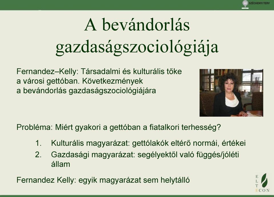 Következmények a bevándorlás gazdaságszociológiájára Probléma: Miért gyakori a gettóban a