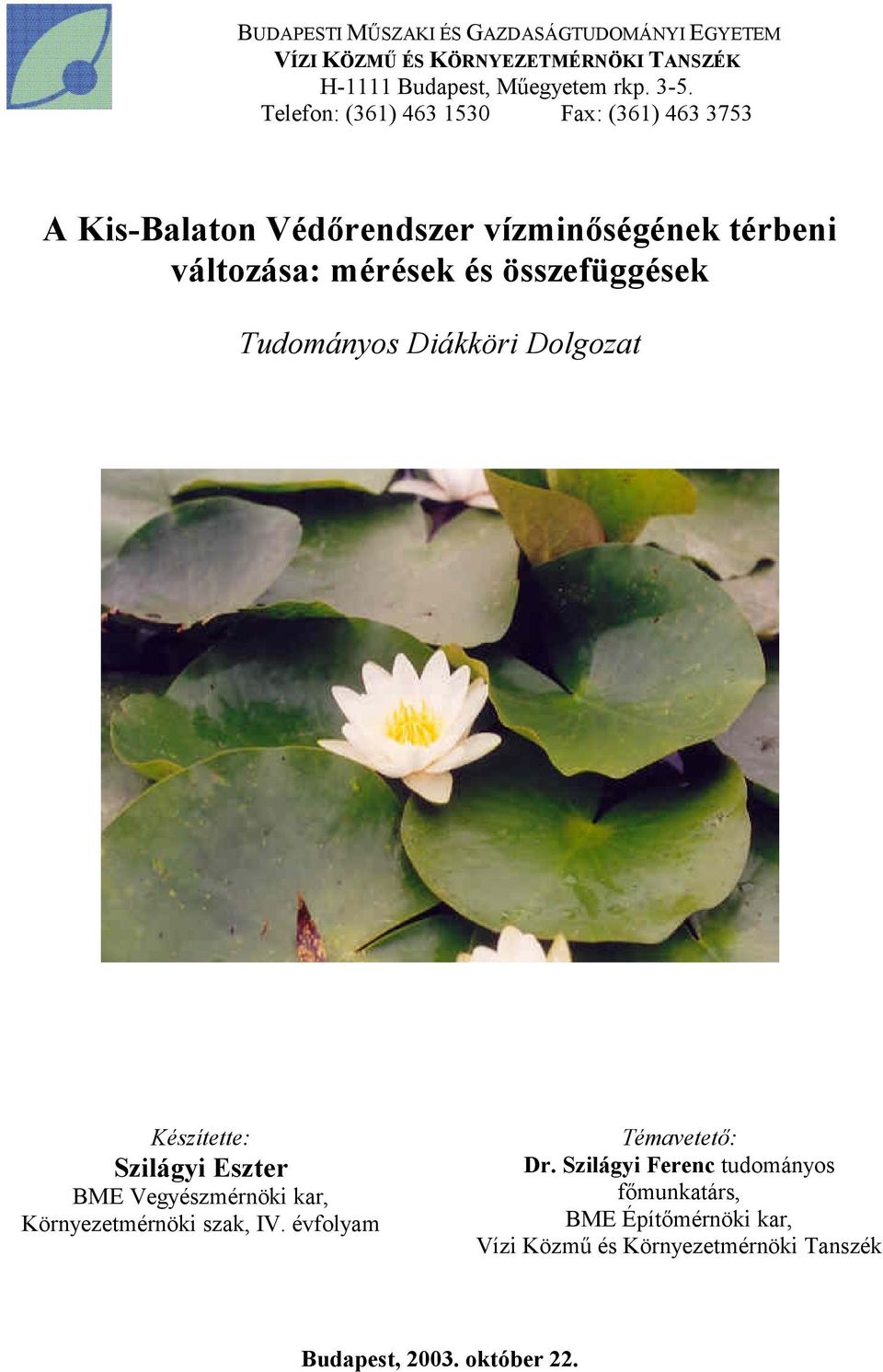 összefüggések Tudományos Diákköri Dolgozat Készítette: Szilágyi Eszter BME Vegyészmérnöki kar, Környezetmérnöki szak, IV.