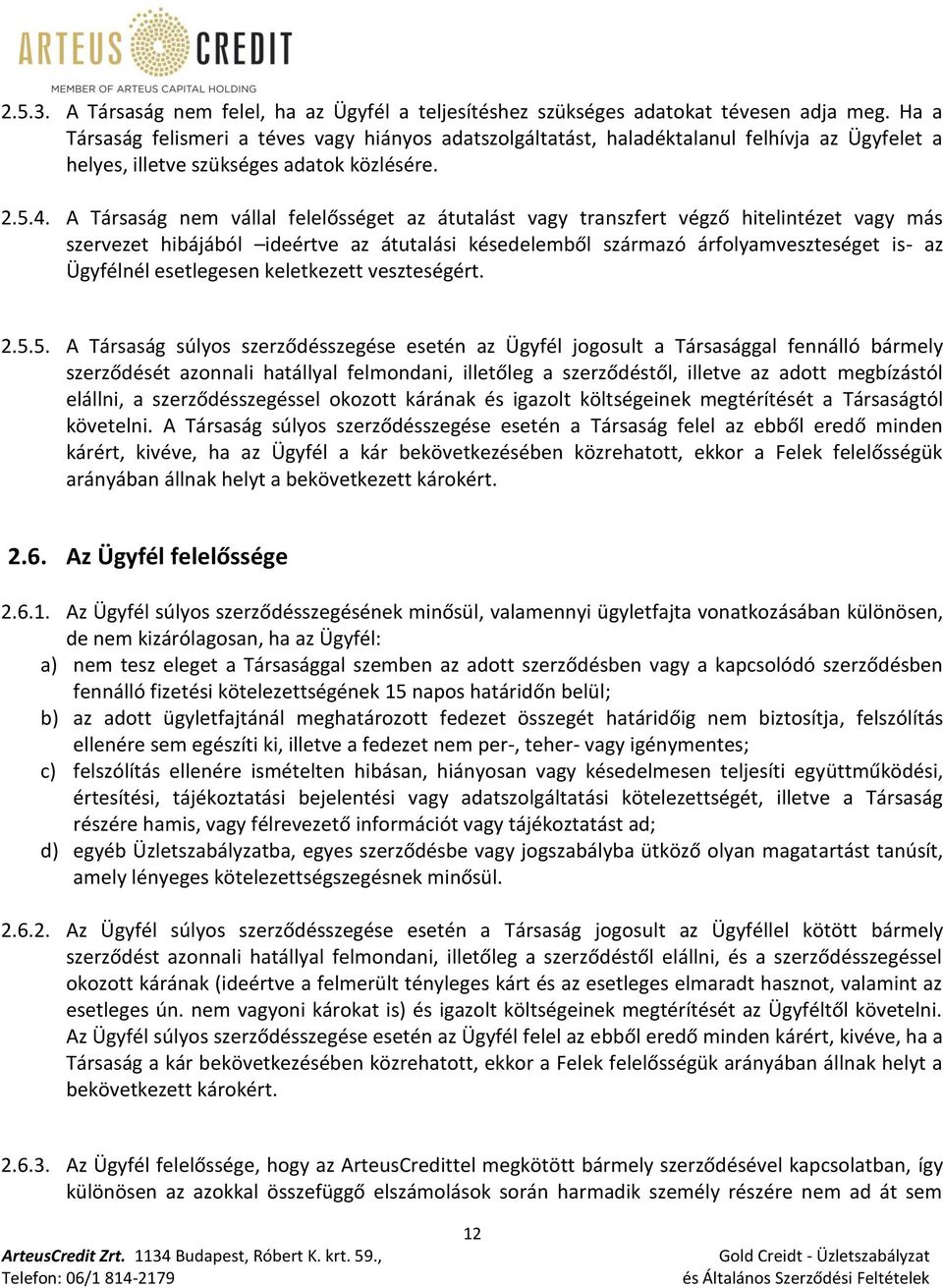 A Társaság nem vállal felelősséget az átutalást vagy transzfert végző hitelintézet vagy más szervezet hibájából ideértve az átutalási késedelemből származó árfolyamveszteséget is- az Ügyfélnél